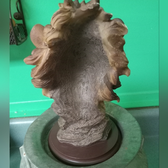 Southwestern Reflections Collection- Lion Vintage - Picture 4 of 9